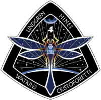 Insigne de la mission