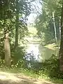 Vue du parc