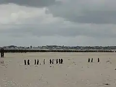 Saint-Cast-le-Guildo de la côte d'Émeraude en Bretagne.