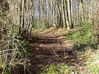 En arrivant à Saint-Maurice-sur-Aveyron.