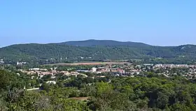 Saint-Mathieu-de-Tréviers