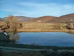 doline