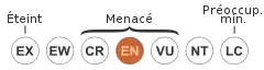 En danger