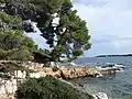Bord de mer.