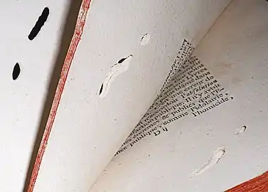 Photographie d'un livre du XVIIIe siècle montrant des galeries creusées par une larve de Stegobium paniceum