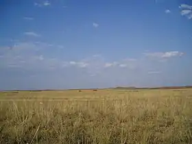 Image illustrative de l’article Bassin Balkhach-Alakol