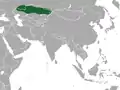Aire de répartition du Pika des steppes