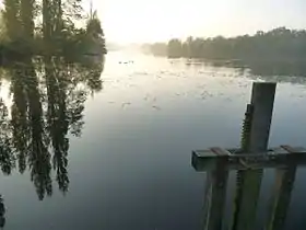 L'étang de Saint-Maigrin au petit matin