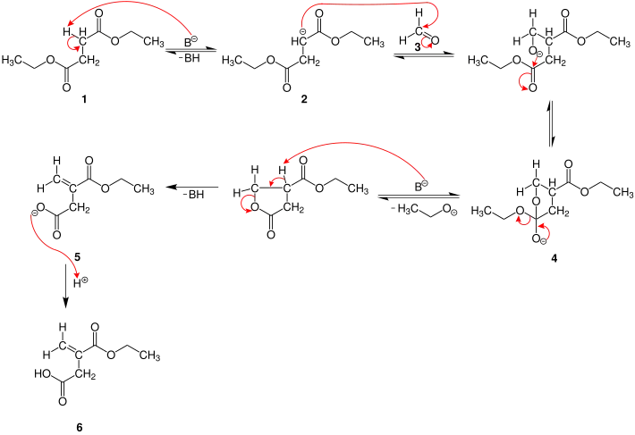 mécanisme réactionnel de la condensation de Stobbe
