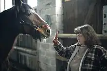 Une femme présentant la paume de sa main devant le nez d'un cheval.