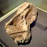 Aigle (?) en grès sculpté de la maison Schœttel.