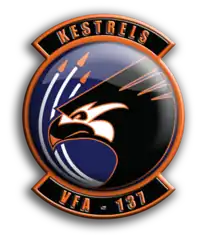 Image illustrative de l’article VFA-137