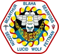 Insigne de la mission