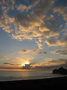 Te Henga