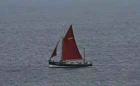 illustration de Swan (1900)