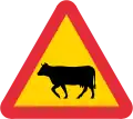 Bétail