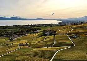 Image illustrative de l’article La Côte (AOC)