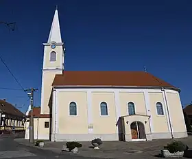 Szárföld