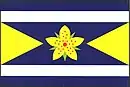 Drapeau de Třešovice