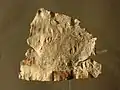 Fragment de la tablette de l'Hospitalet-du-Larzac, conservé au musée de Millau (Aveyron).