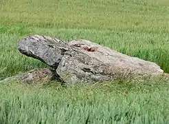 ...en bordure de la route...