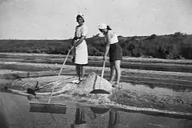 Travaux dans les marais salants de la Girvière, années 1940.