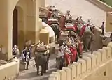 Le va-et-vient des "éléphants-taxis".