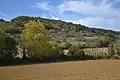 Paysage agricole près de Teilhet.