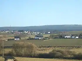 Waldweiler