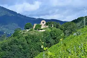 Image illustrative de l’article Château d'Engelbourg