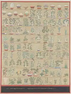 Image illustrative de l’article Gyushi