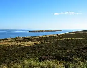 Image illustrative de l’article Calf of Flotta