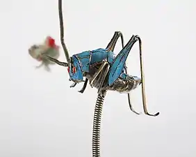 Une épingle à cheveux chinoise en forme de criquet avec des plumes de martin-pêcheur dans la collection permanente du Children's Museum of Indianapolis.
