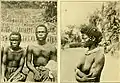 Scarifications, coiffure (nov 1918).