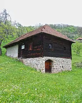 Vionica (Ivanjica)