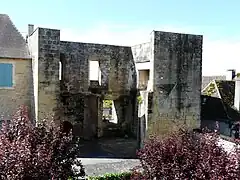 Les ruines du château de Thenon.