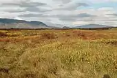Þingvellir.