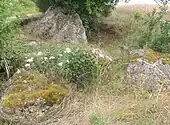Dolmen de Vaugouffard