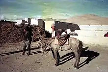 Village de Tingri en 1993.
