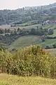 Tolić - panorama