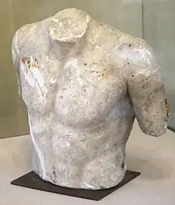 Torse masculin