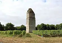 Photographie en couleurs d'une tour en pierre dans une vigne.