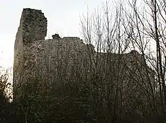 Vaudémont, tour Brunehaut XIe&nbsp;siècle.