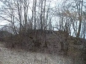 Image illustrative de l’article Tour de Maugny