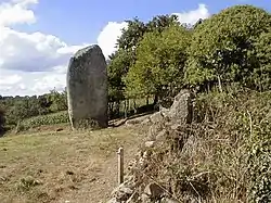 Image illustrative de l’article Menhirs de Keranscot