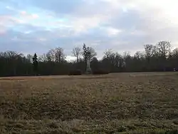 Image illustrative de l’article Forêt de la Traconne