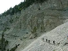 Passage inédit par le sentier GR9 sur le flanc nord du mont Ventoux en juin 2021.