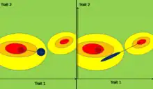 Trajectoire Evolutive