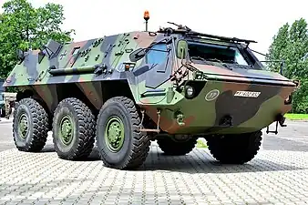 Image illustrative de l'article TPz Fuchs