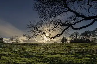 Muiravonside Country Park&nbsp;(en) (Bataille de Prestonpans)